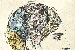A drawn rendering of a creative brain