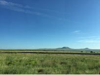 A green prairie with a blue sky