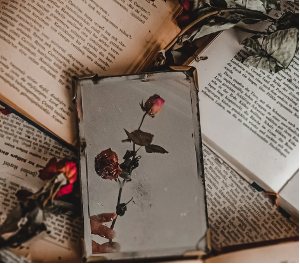 ENGL 251 Roses Poems