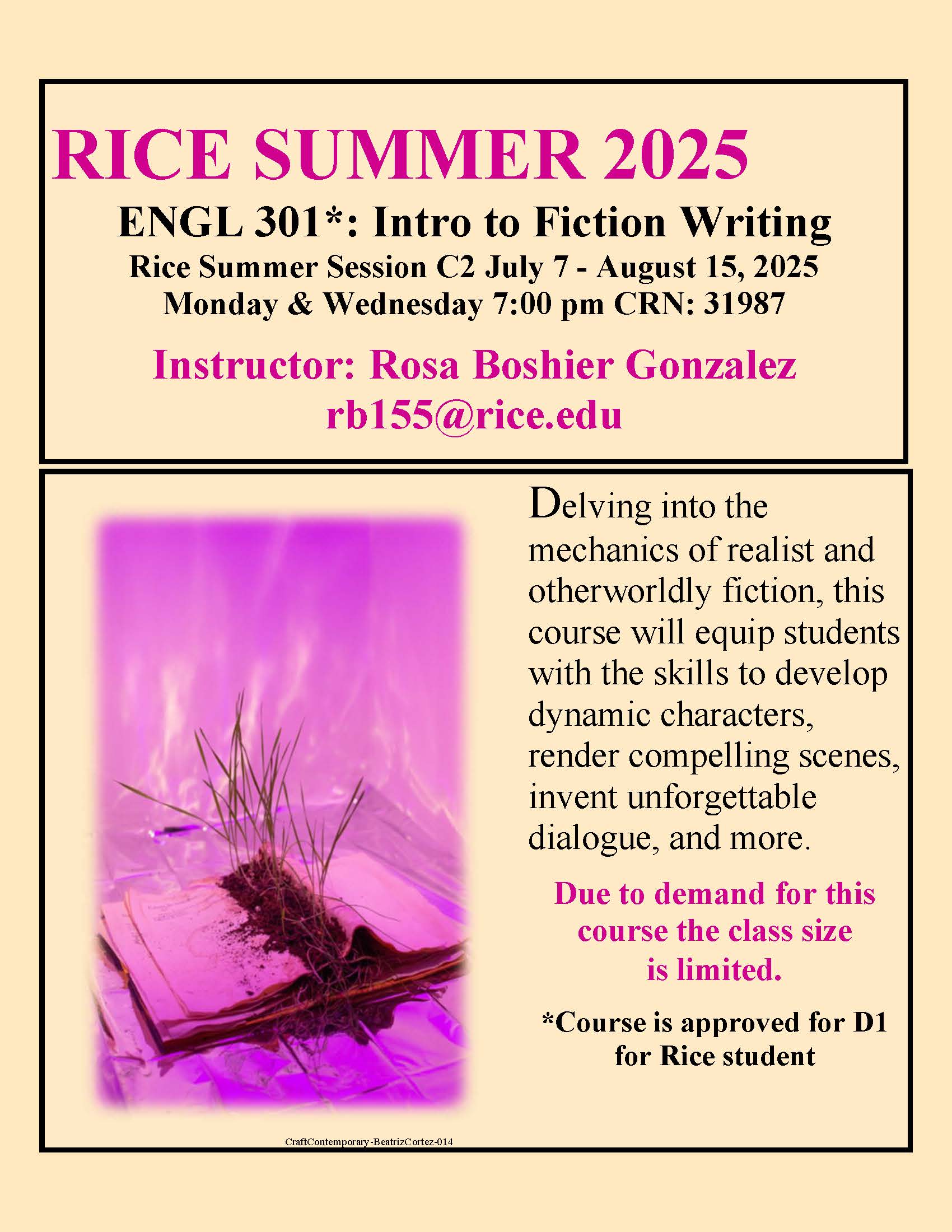 Rice University summer class, Intro to Fiction flyer